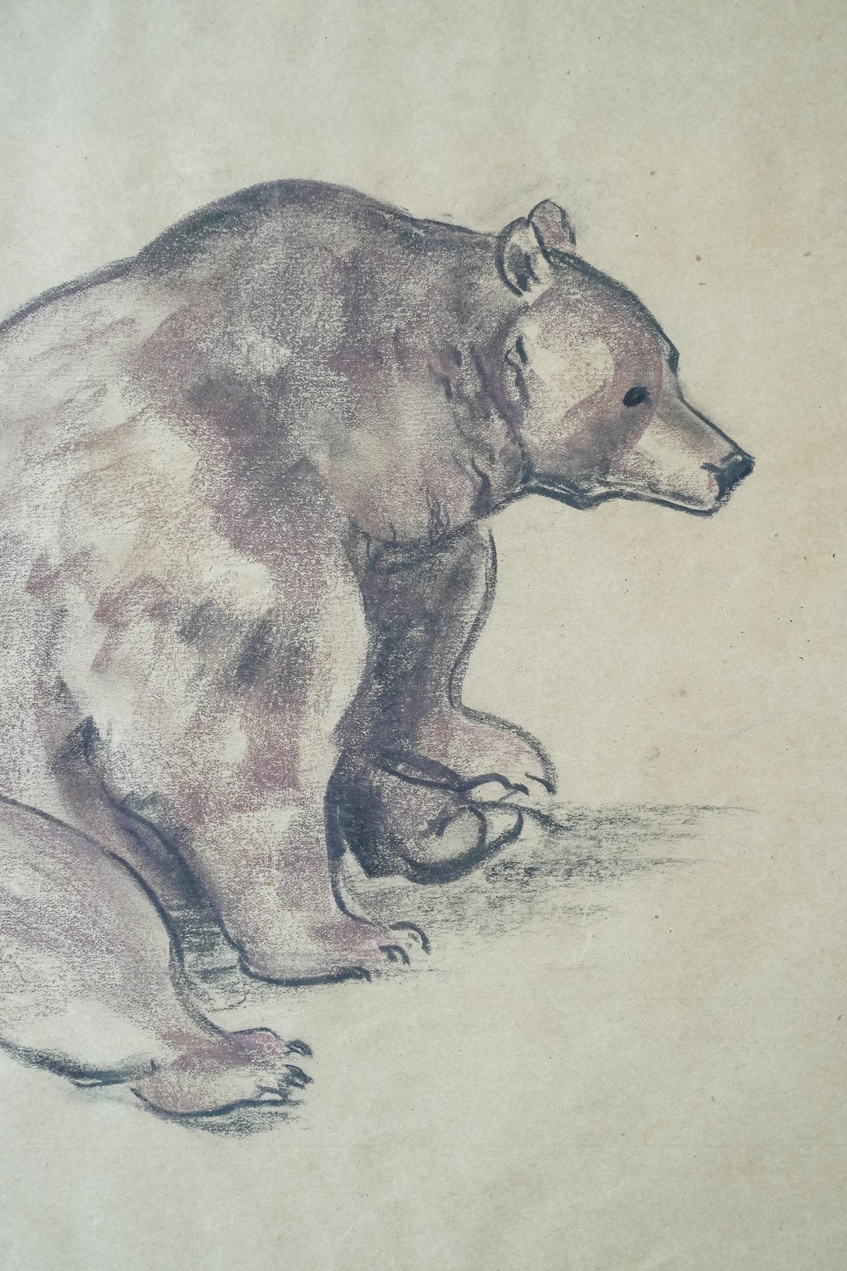 Big Bear Study, Stefani Melton Fisher (1894-1963).