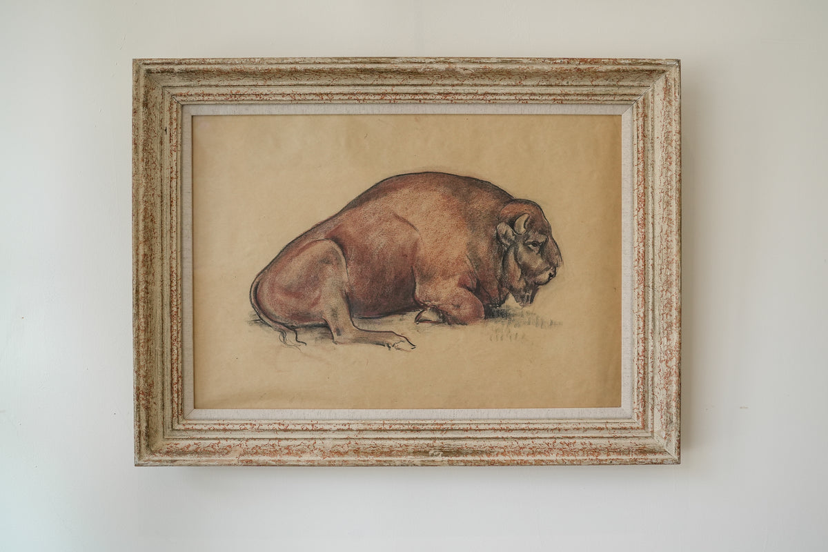 Large Bison study by Stefani Melton Fisher (1894-1963).