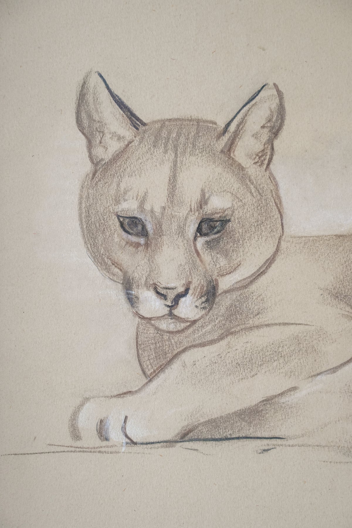 Puma, by Stefani Melton Fisher (1894-1963).