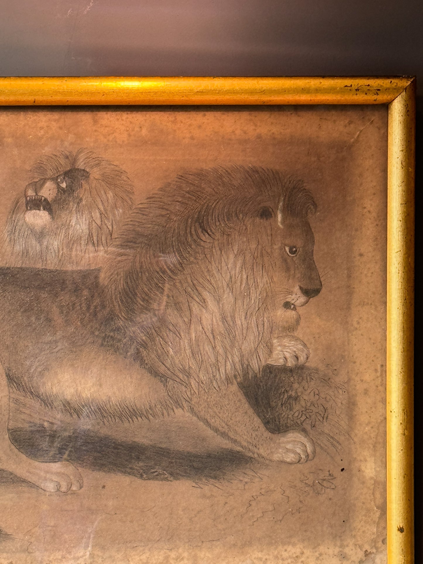 19th century pencil sketch of a pair of Lions.