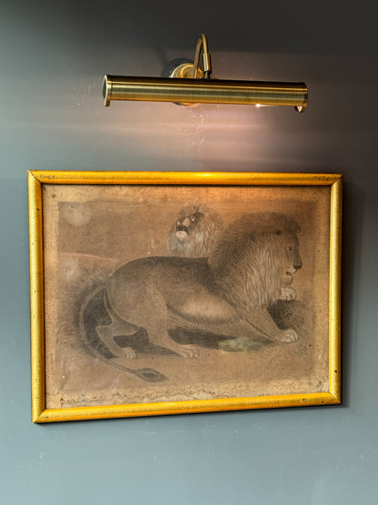 19th century pencil sketch of a pair of Lions.