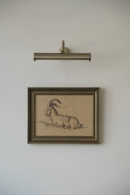 Stefani Melton Fisher (1894–1963) – Original Study of a Barbary Sheep (Aoudad).