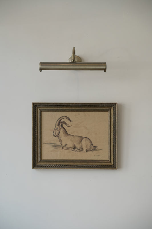 Stefani Melton Fisher (1894–1963) – Original Study of a Barbary Sheep (Aoudad).