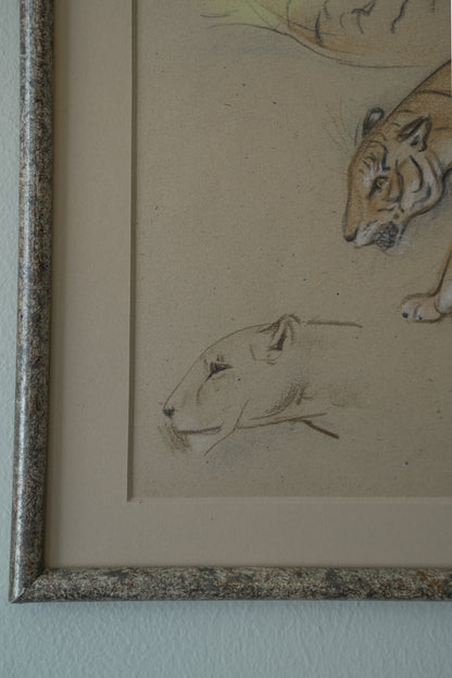 Stefani Melton Fisher. Big Cat Drawing.
