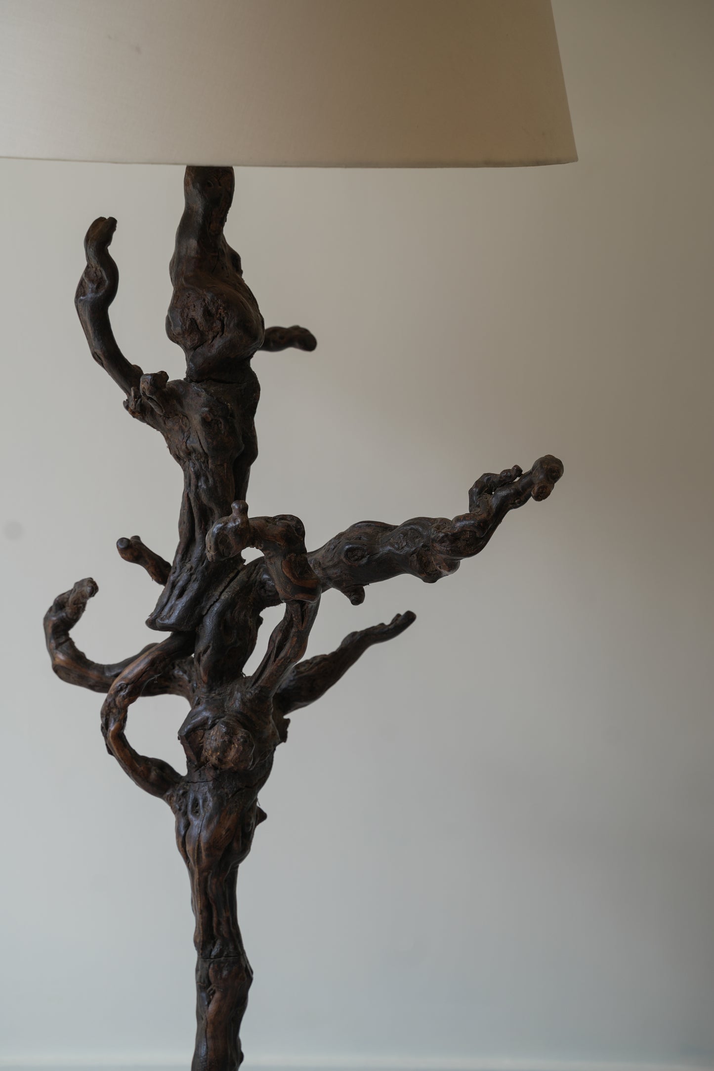 Grape Vine Burr Wood Floor Lamp