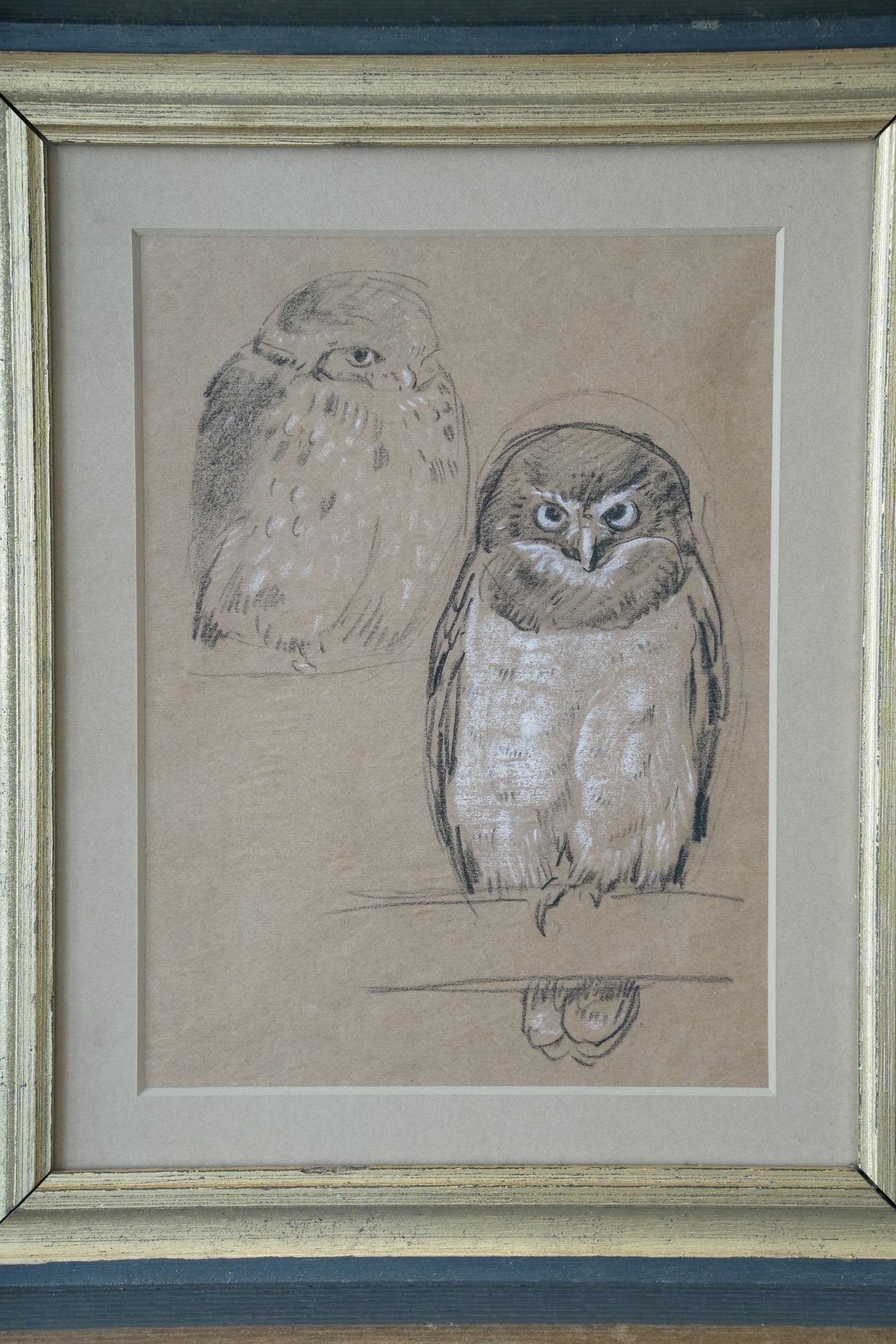 A Parliament Of Owls. Stefani Melton Fisher (1894–1963).