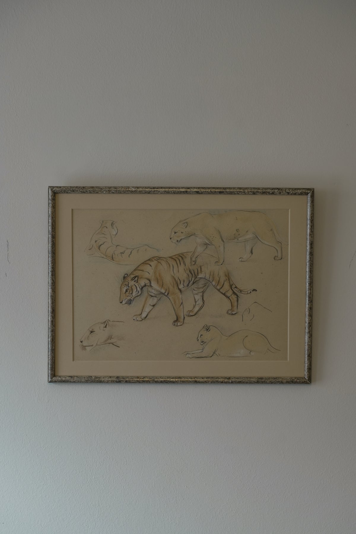 Stefani Melton Fisher. Big Cat Drawing.