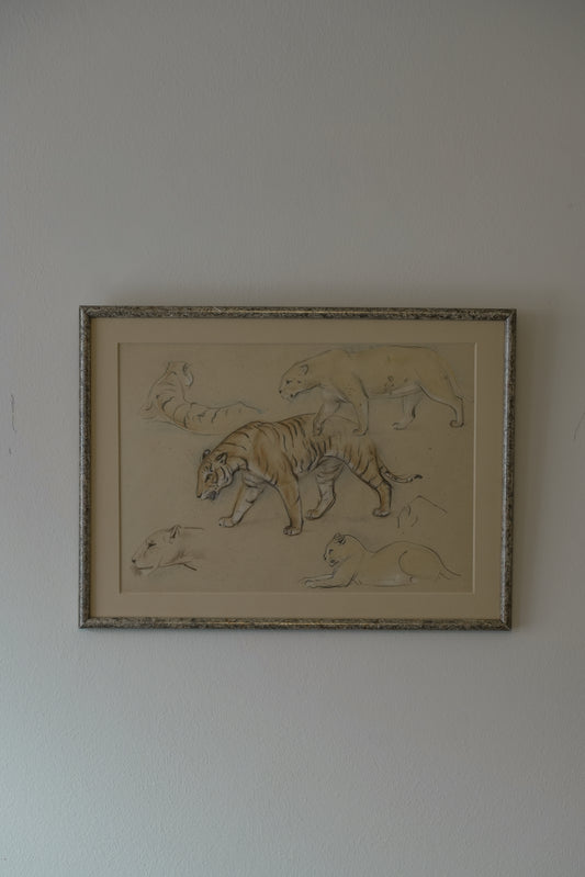 Stefani Melton Fisher. Big Cat Drawing.