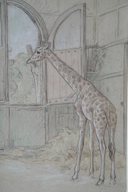 Stefani Melton Fisher (1894–1963) - Original Giraffe Study.
