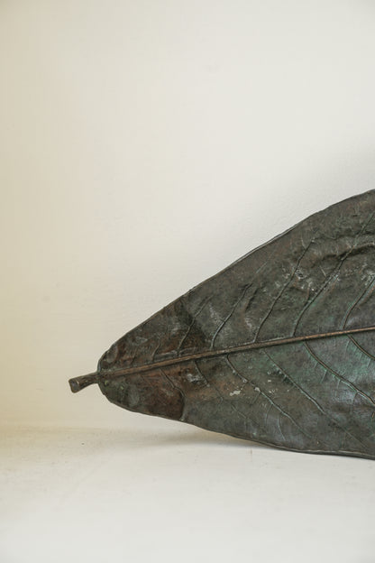 Bronze leaves