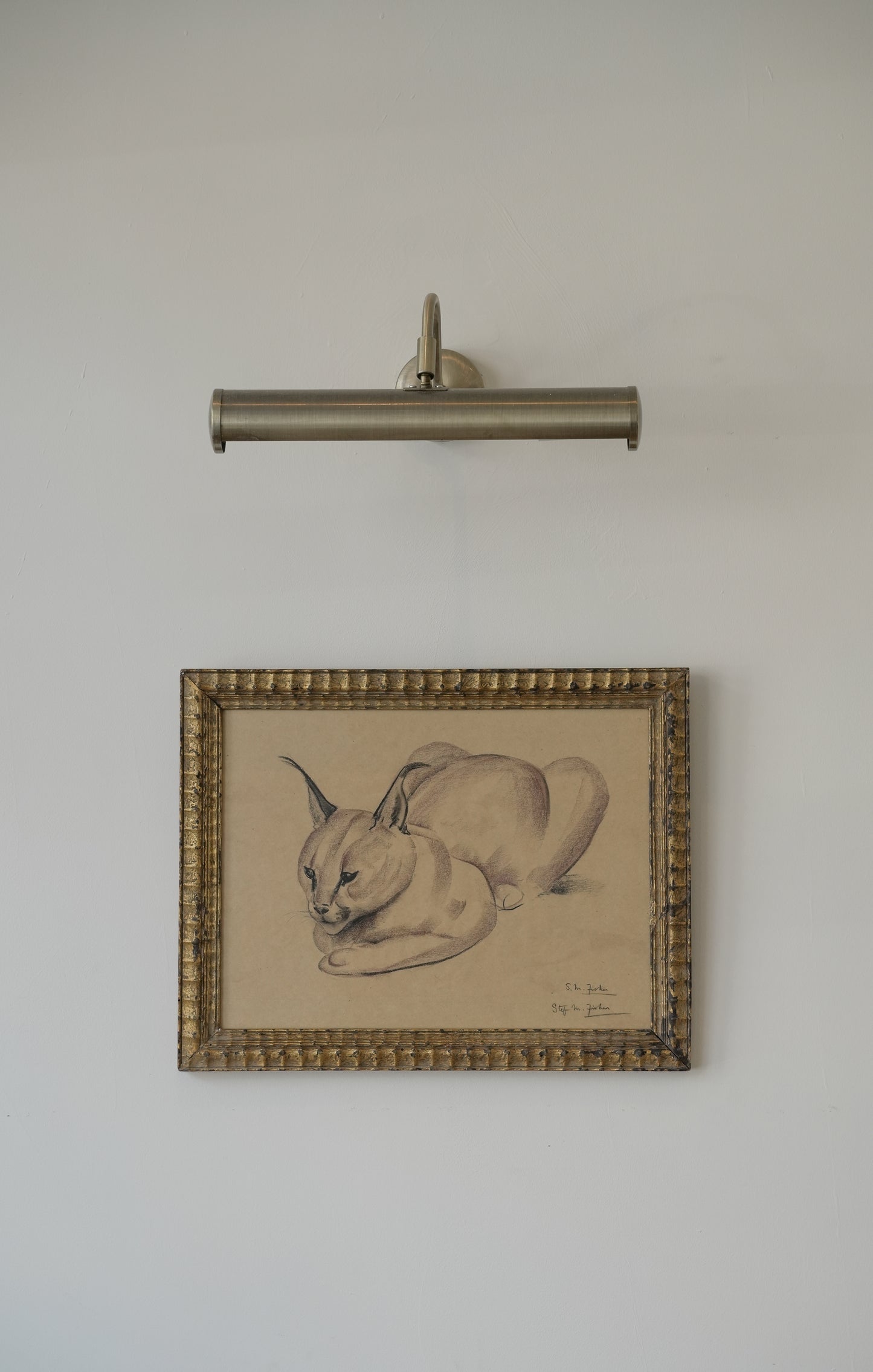 Stefani Melton Fisher (1894–1963) – Original Caracal Study.