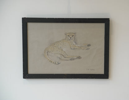 Stefani Melton Fisher (1894-1963). Cheetah study.