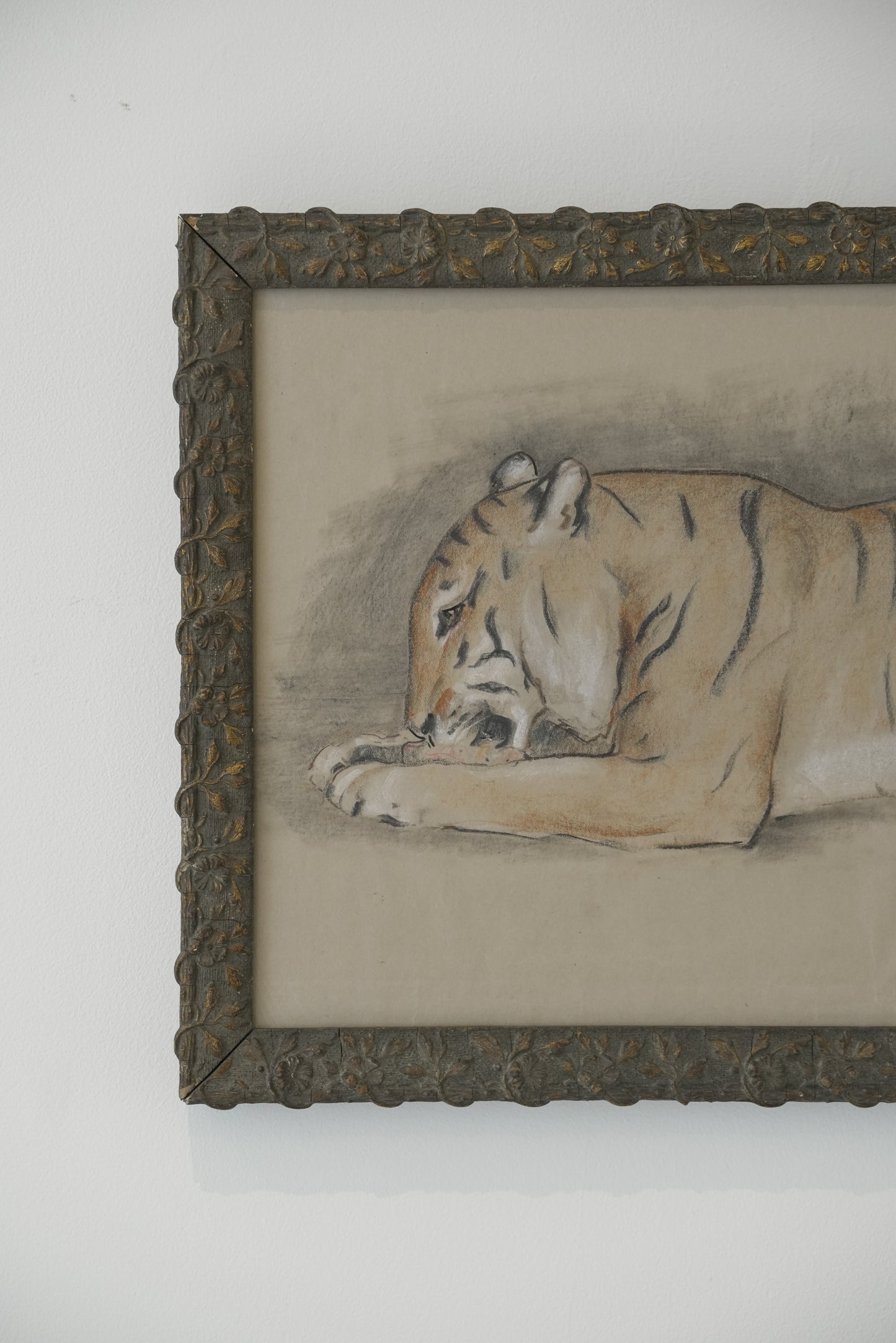 Pair of Tiger studies. Stefani Melton Fisher (1894-1963).