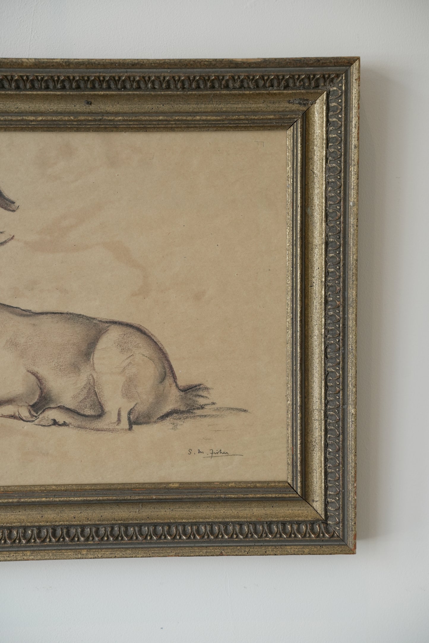 Stefani Melton Fisher (1894–1963) – Original Study of a Barbary Sheep (Aoudad).