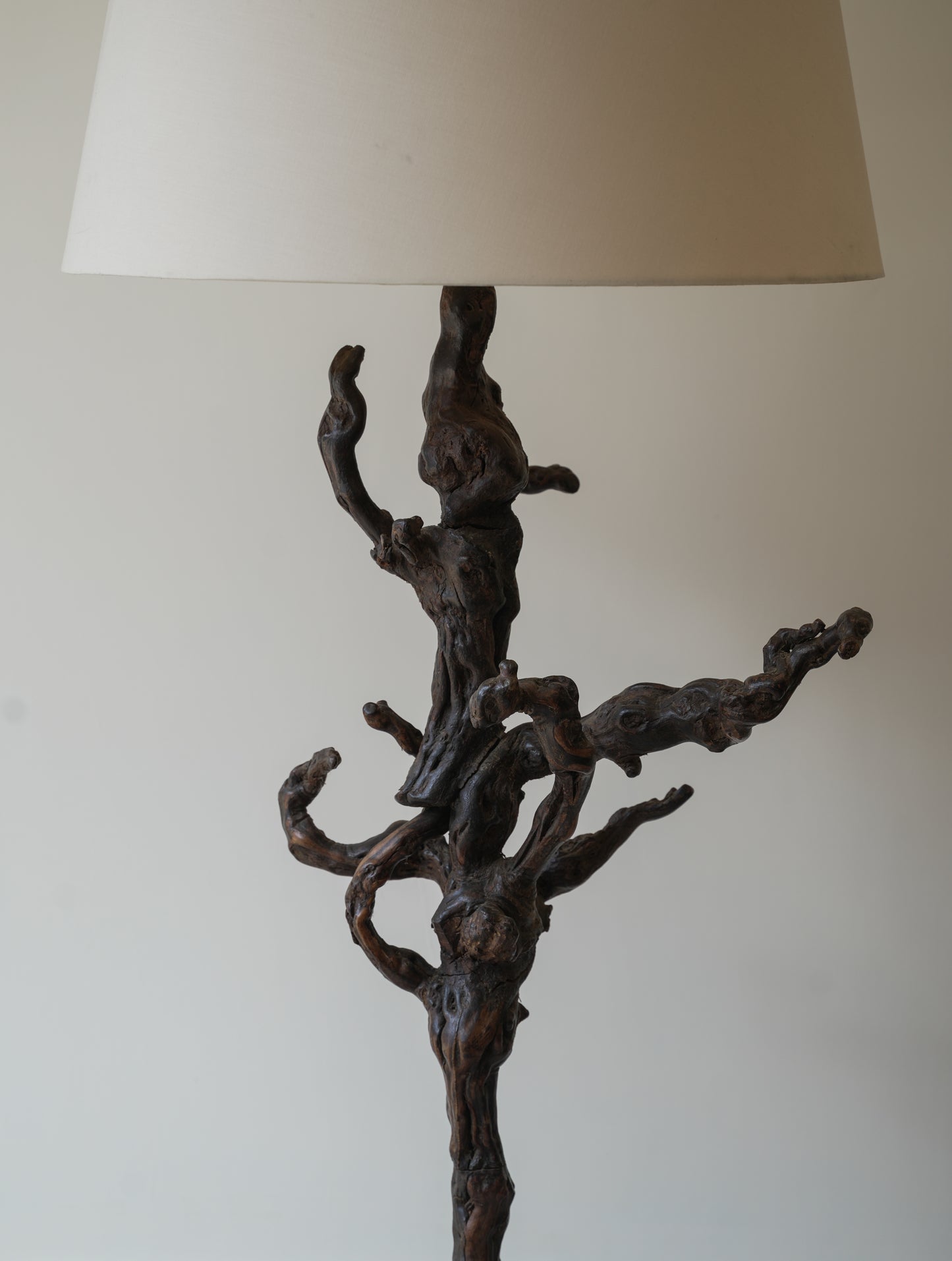 Grape Vine Burr Wood Floor Lamp