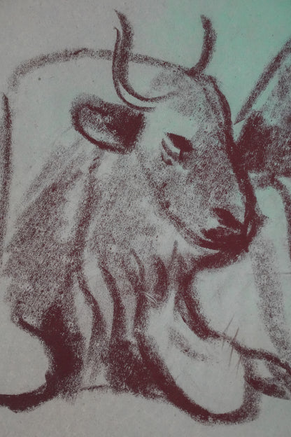 Karl May: Reclining Buffalo.