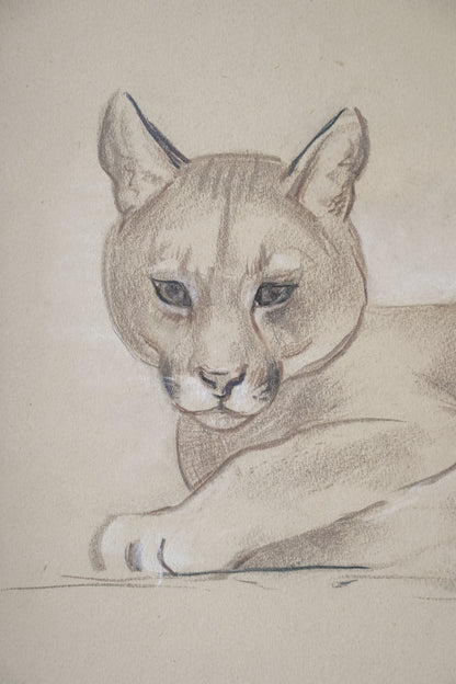 Puma, by Stefani Melton Fisher (1894-1963).