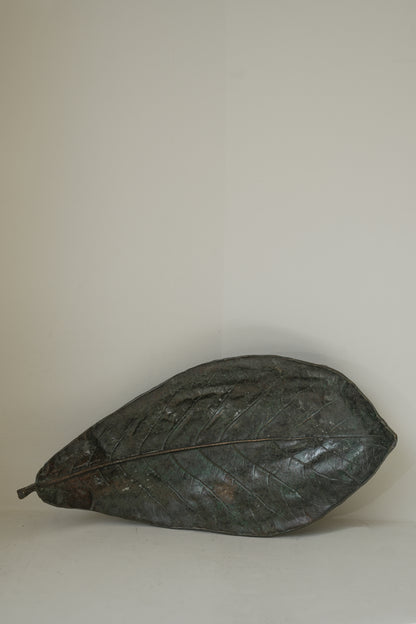 Bronze leaves