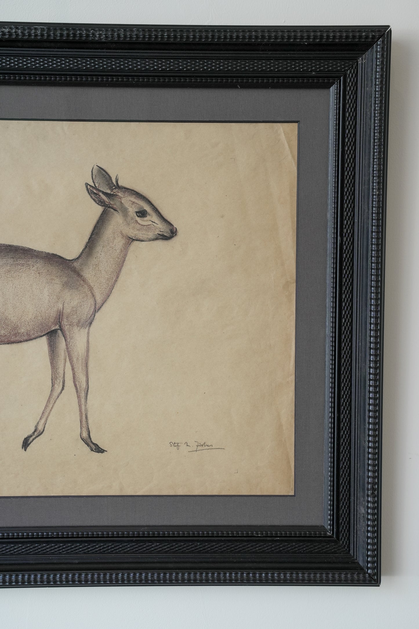 Pastel Study Of A Deer. Stefani Melton Fisher. (1894-1963).