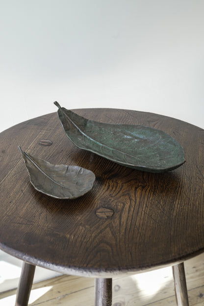 Bronze leaves