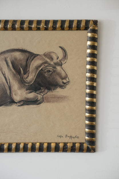Stefani Melton Fisher (1894–1963) – Original Study of a Cape Buffalo.