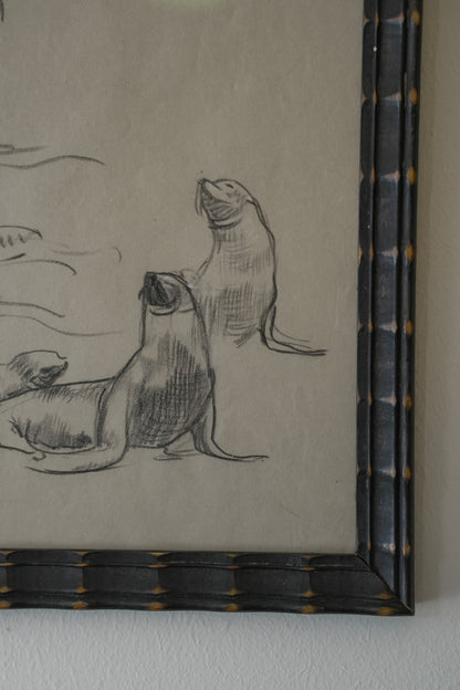 Seals Drawing. Stefani Melton Fisher.