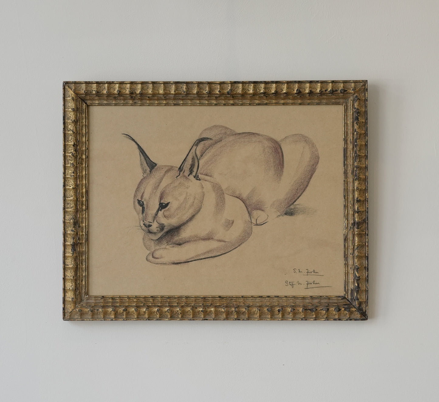Stefani Melton Fisher (1894–1963) – Original Caracal Study.