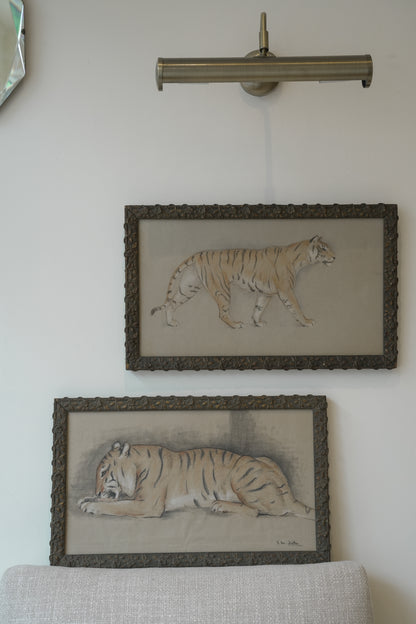 Pair of Tiger studies. Stefani Melton Fisher (1894-1963).