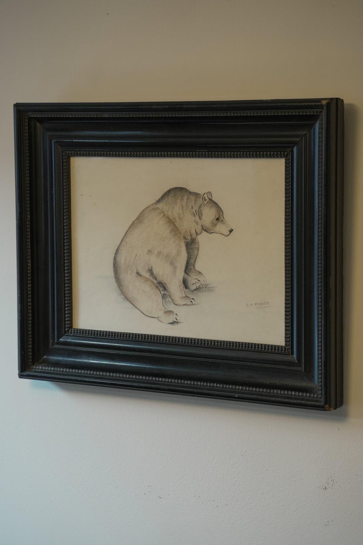 Large Bear Drawing. Stefani Melton Fisher.