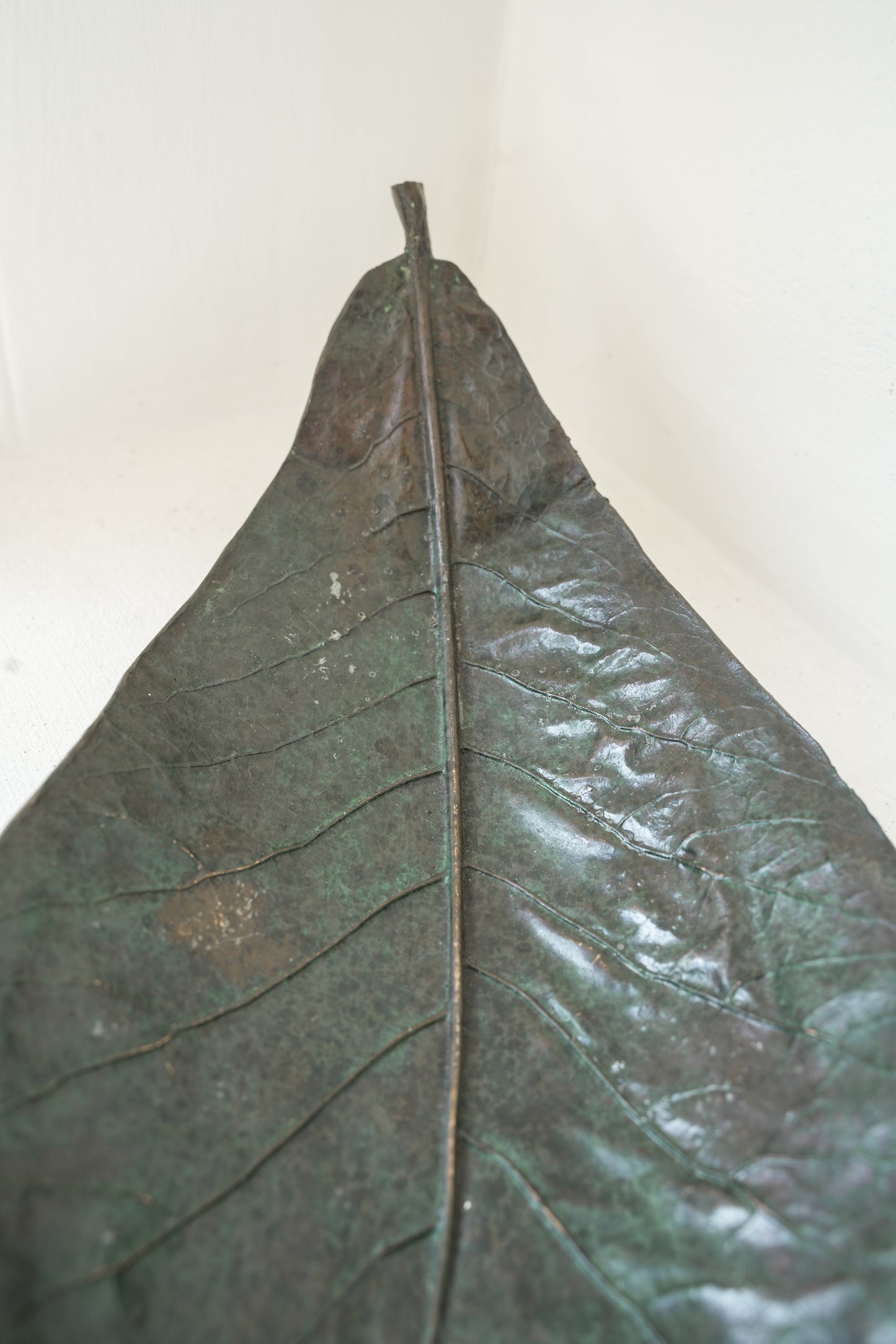 Bronze leaves