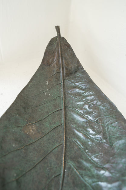 Bronze leaves