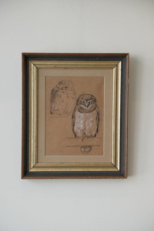 A Parliament Of Owls. Stefani Melton Fisher (1894–1963).
