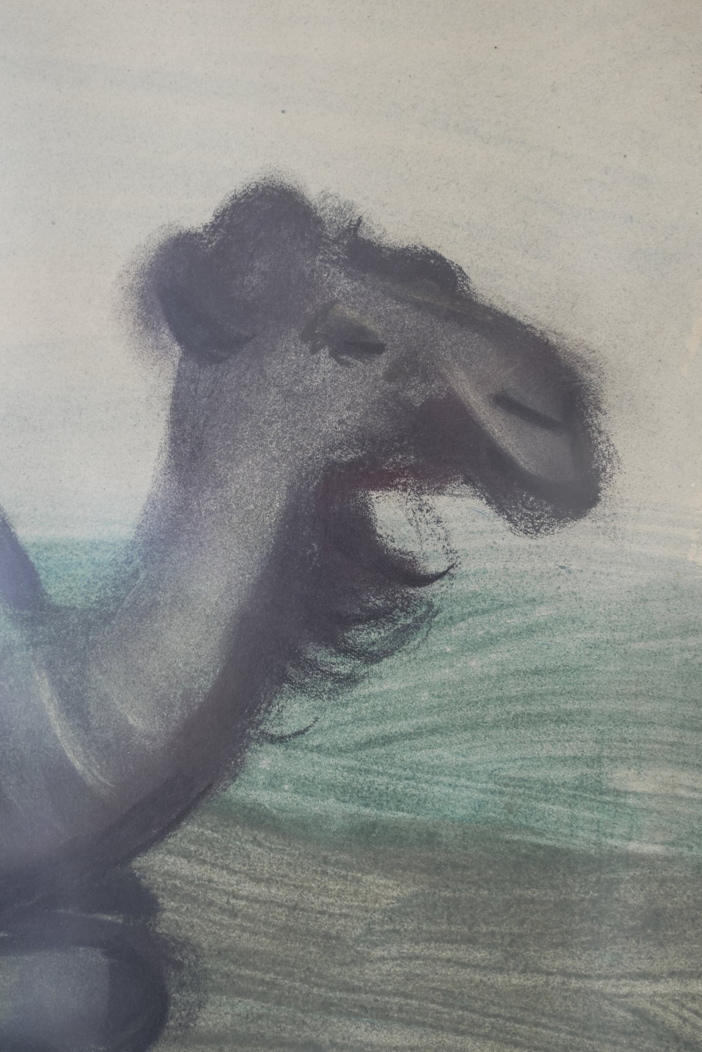 Karl May (1901-1976). Reclining Dromedary.