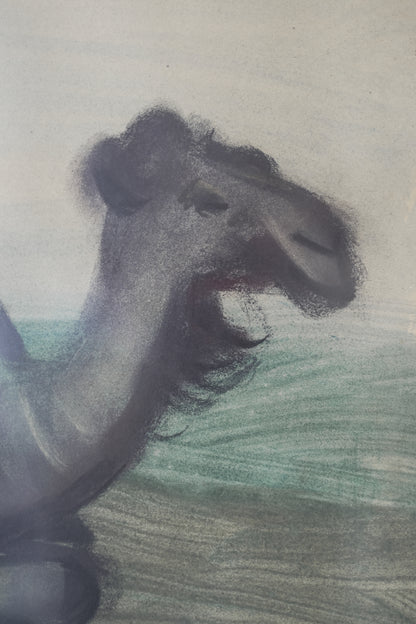 Karl May (1901-1976). Reclining Dromedary.