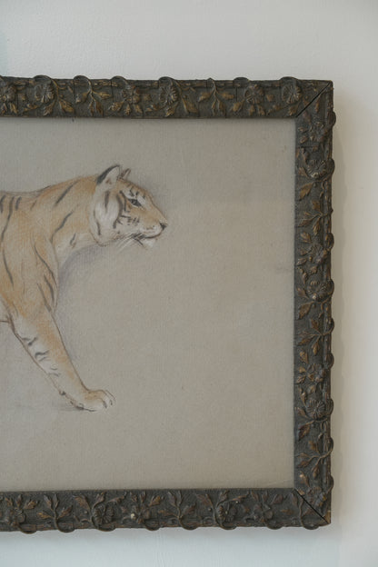 Pair of Tiger studies. Stefani Melton Fisher (1894-1963).