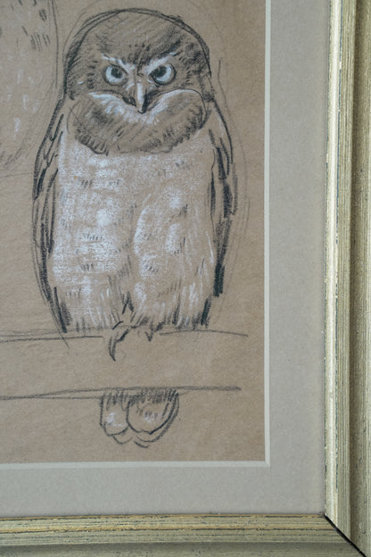 A Parliament Of Owls. Stefani Melton Fisher (1894–1963).
