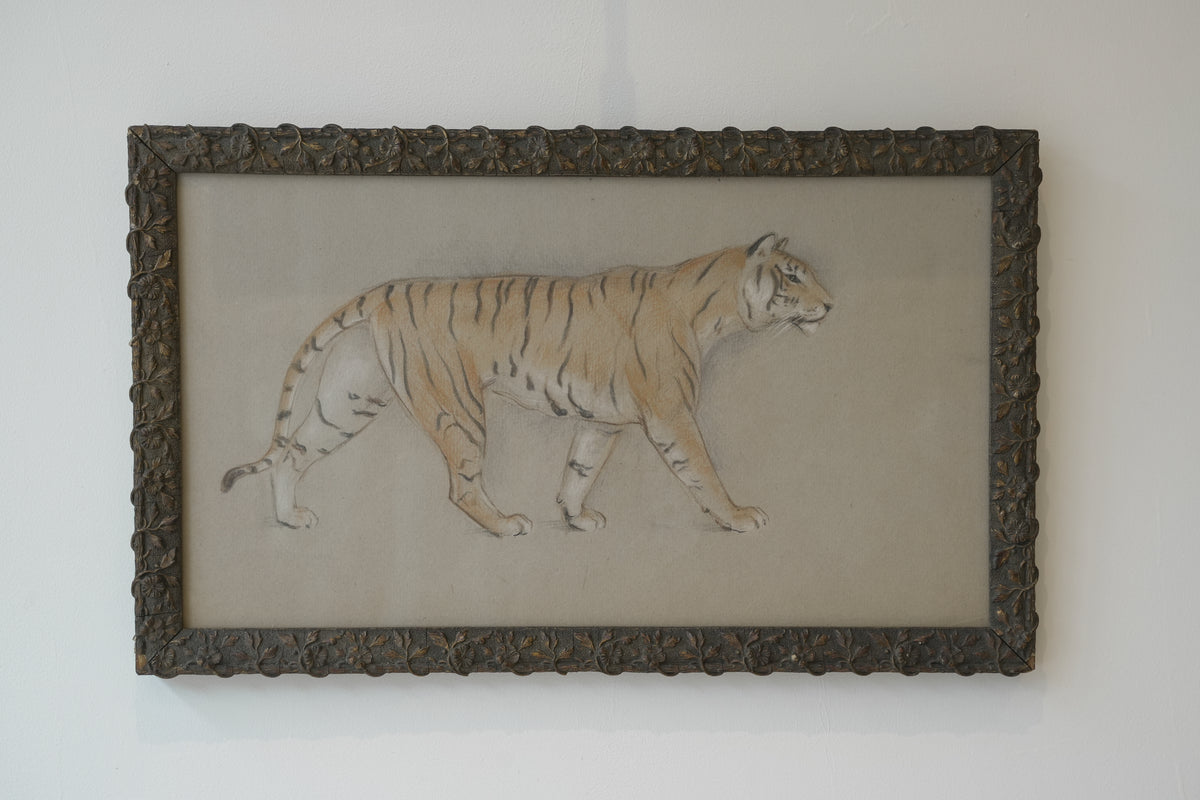 Pair of Tiger studies. Stefani Melton Fisher (1894-1963).