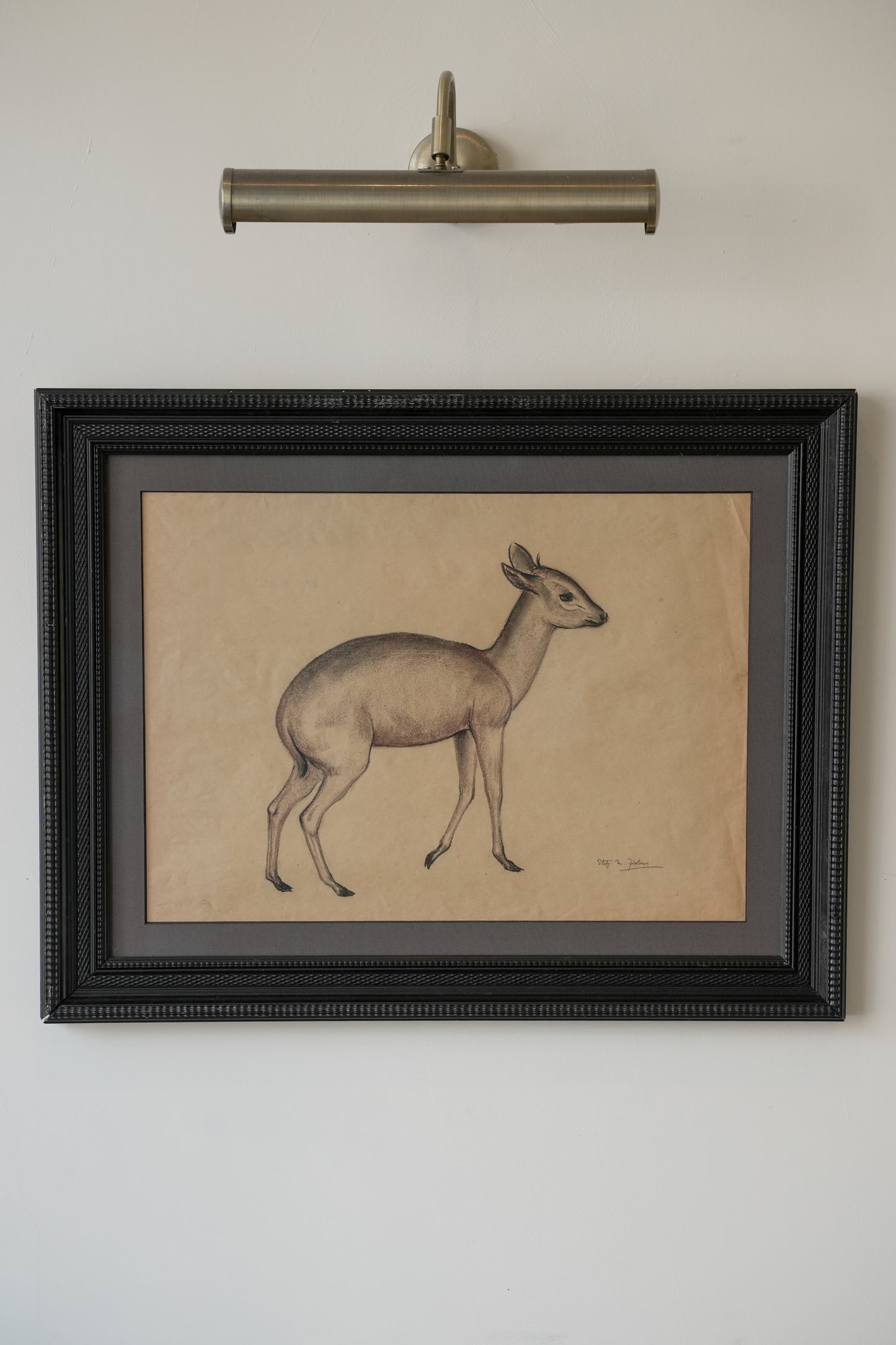 Pastel Study Of A Deer. Stefani Melton Fisher. (1894-1963).