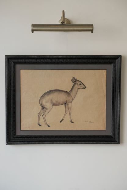 Pastel Study Of A Deer. Stefani Melton Fisher. (1894-1963).