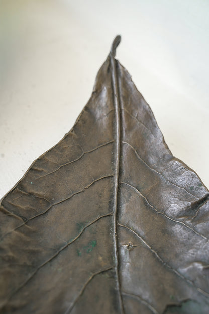 Bronze leaves