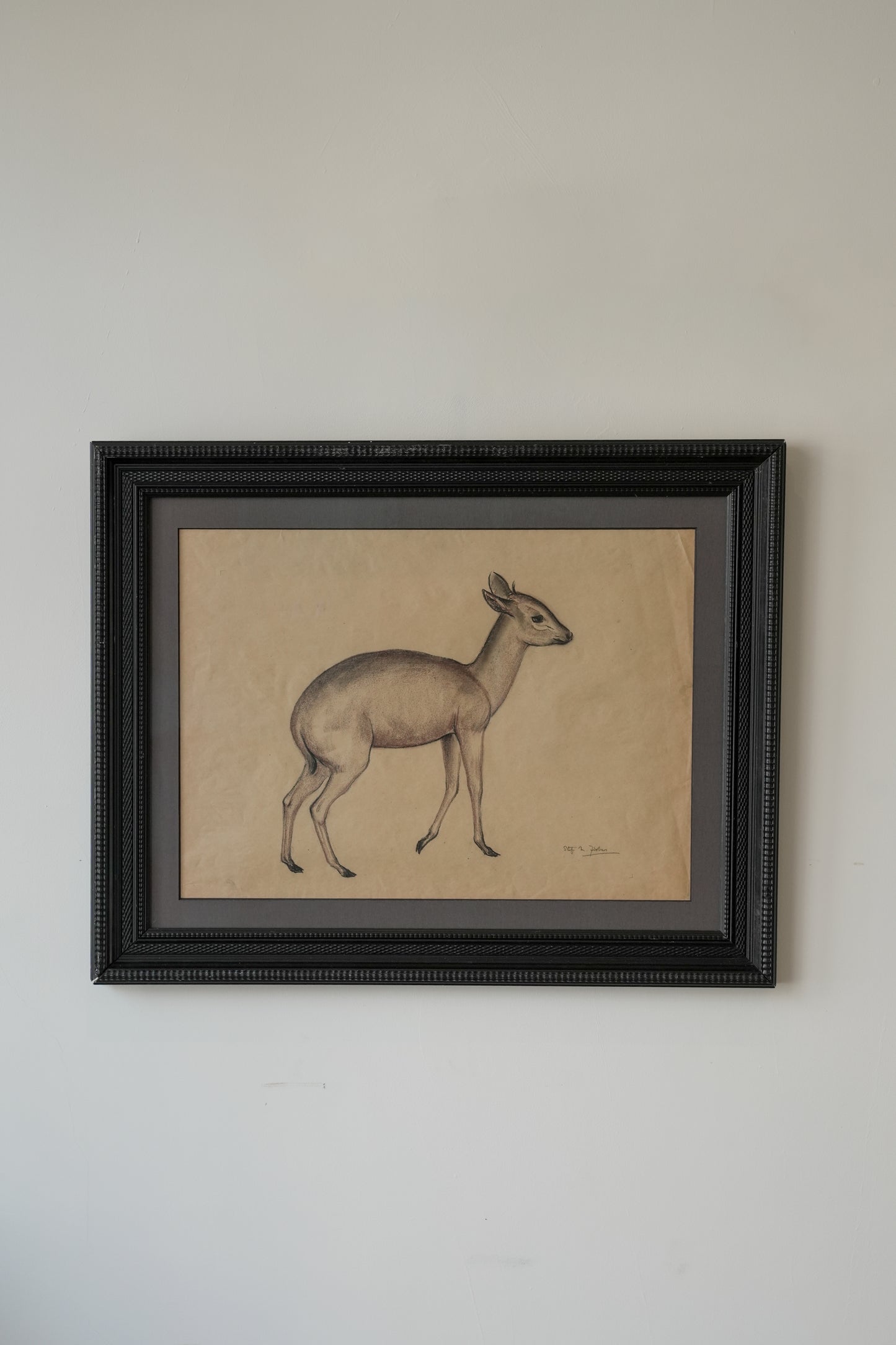 Pastel Study Of A Deer. Stefani Melton Fisher. (1894-1963).