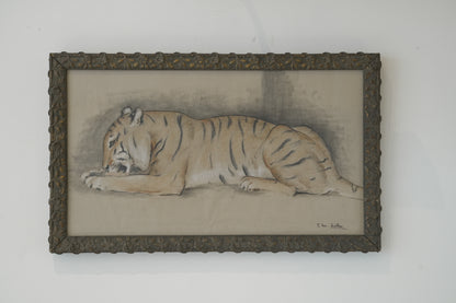 Pair of Tiger studies. Stefani Melton Fisher (1894-1963).