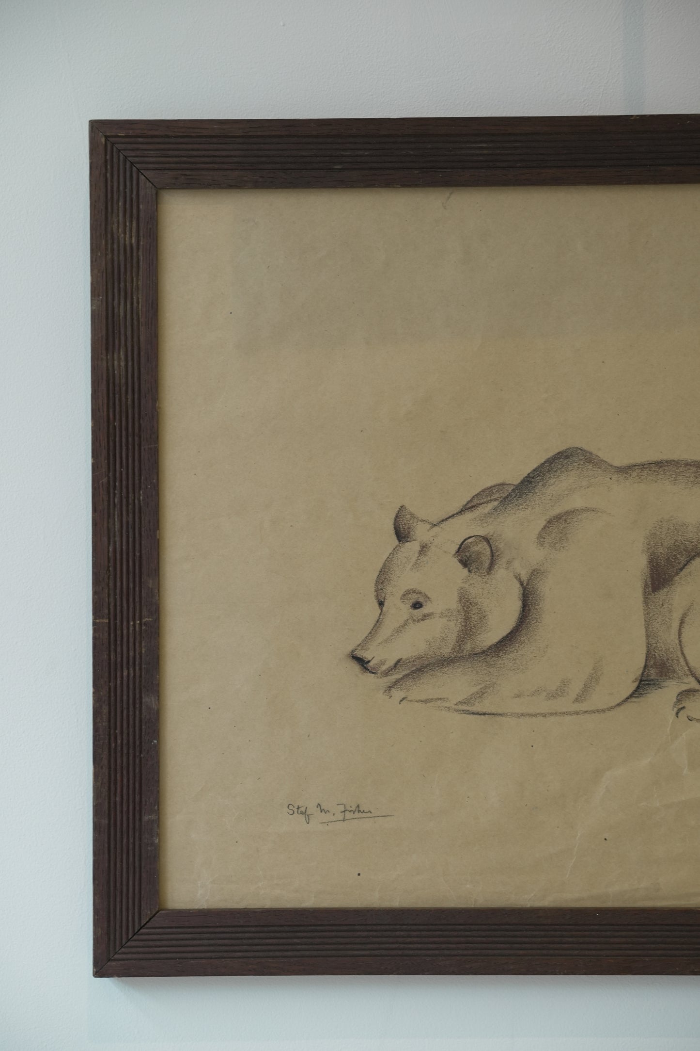 Stefani Melton Fisher. Bear Study.