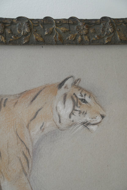 Pair of Tiger studies. Stefani Melton Fisher (1894-1963).