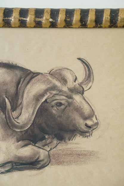 Stefani Melton Fisher (1894–1963) – Original Study of a Cape Buffalo.