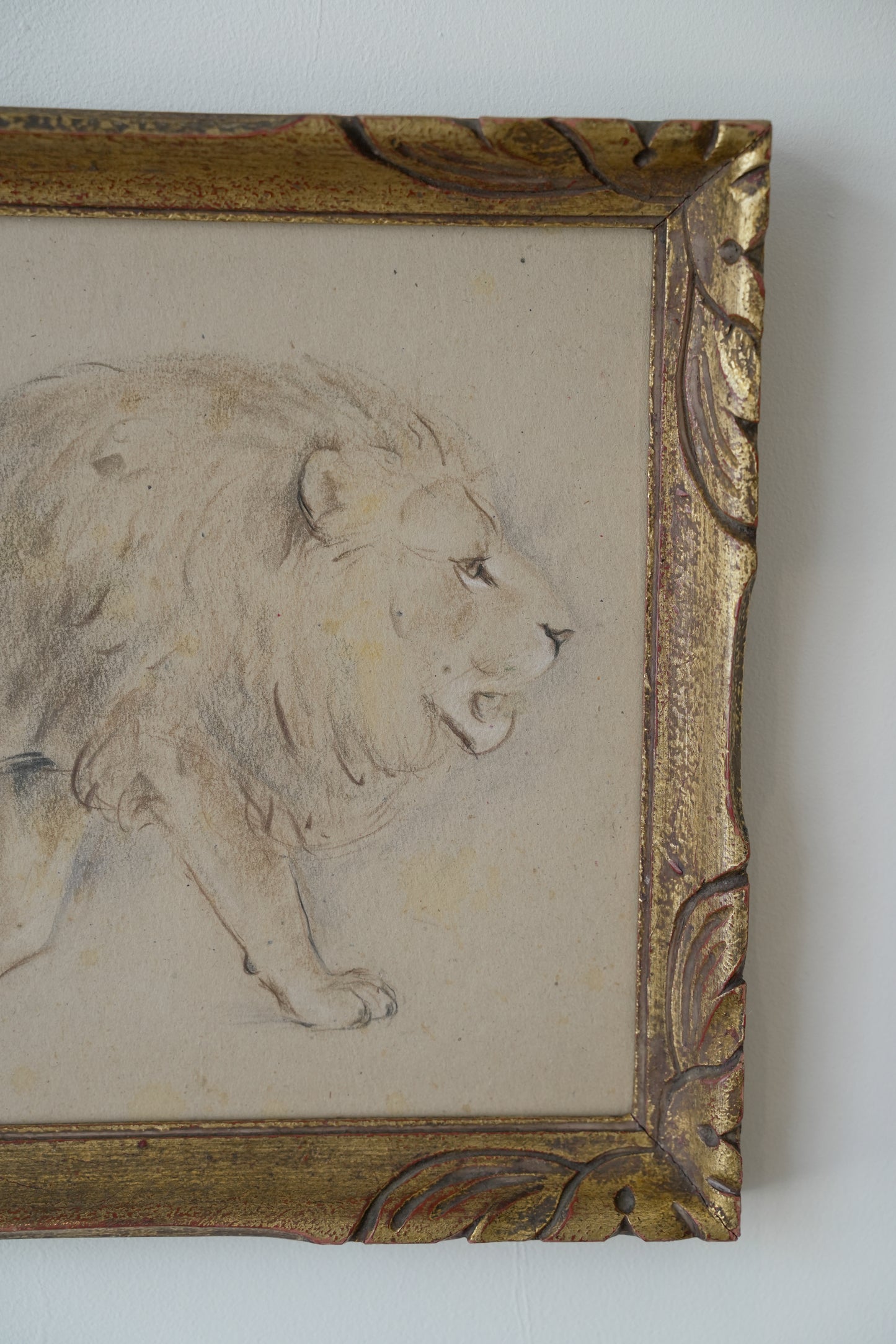 Lion Study. Stefani Melton Fisher (1894–1963).