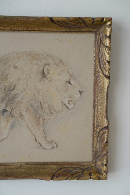 Lion Study. Stefani Melton Fisher (1894–1963).