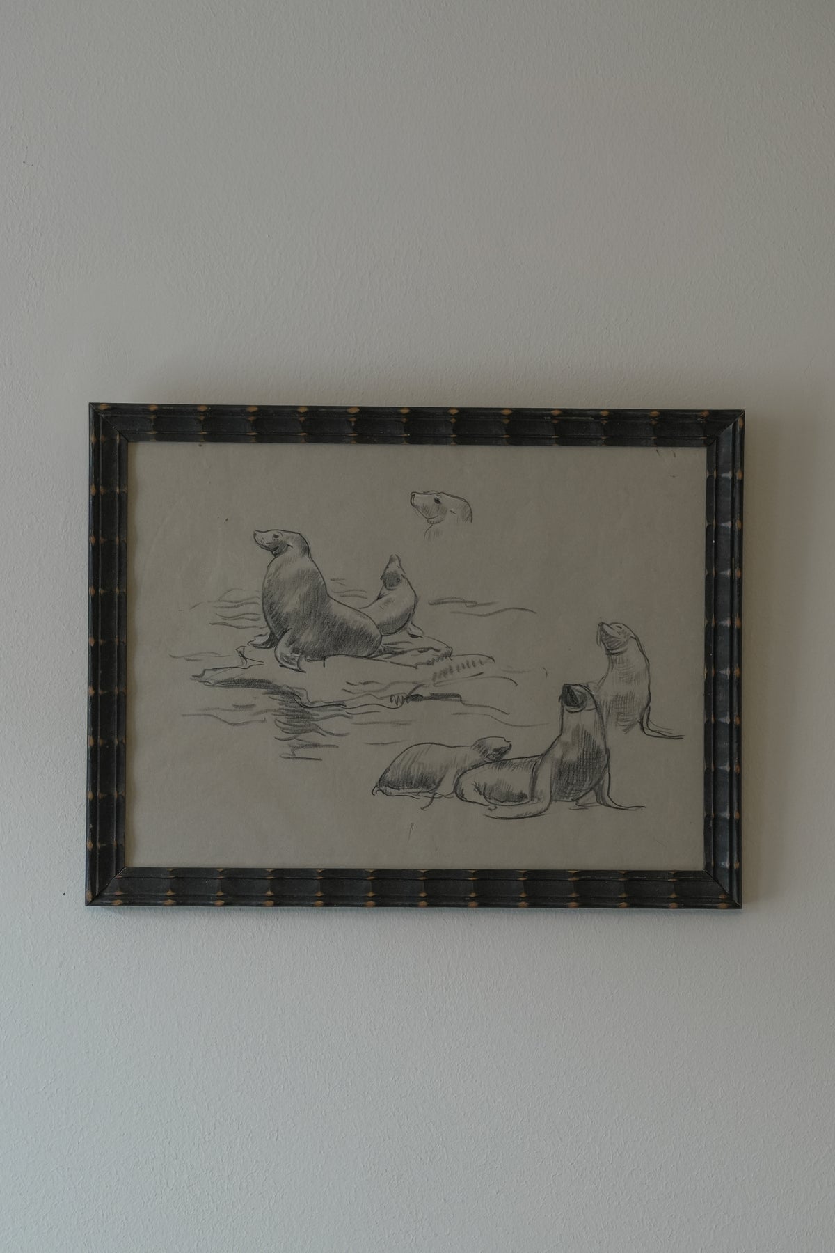 Seals Drawing. Stefani Melton Fisher.