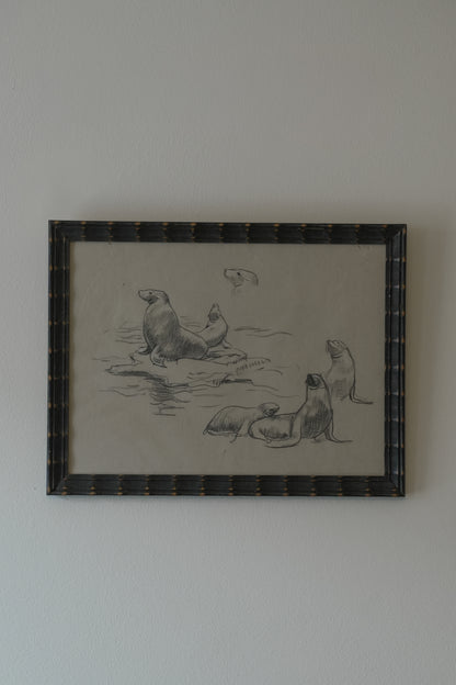 Seals Drawing. Stefani Melton Fisher.