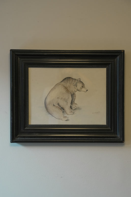 Large Bear Drawing. Stefani Melton Fisher.